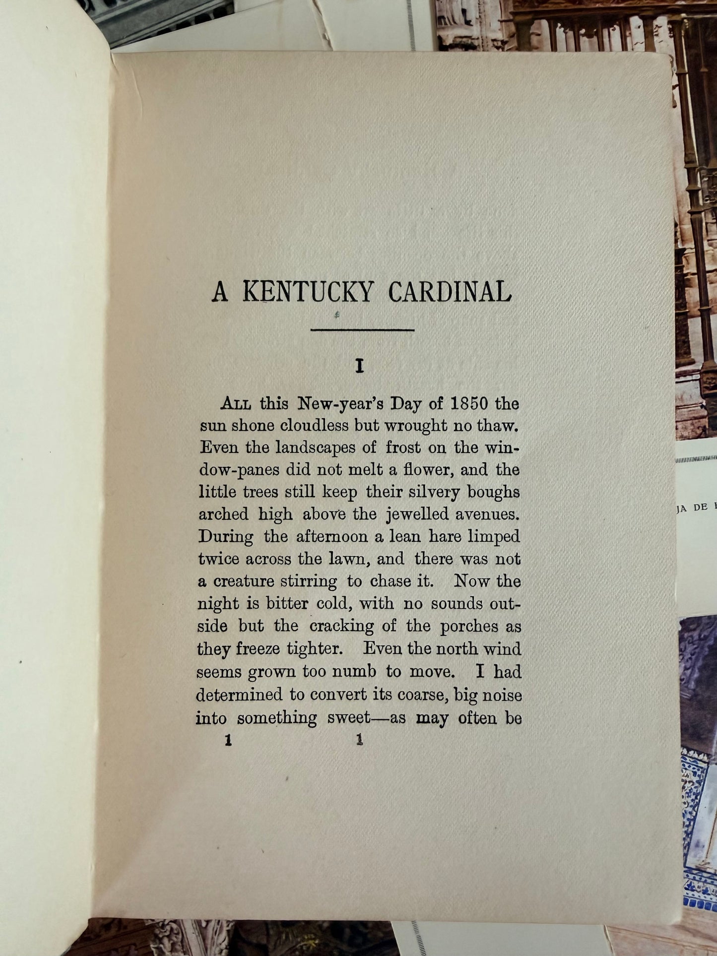 Kentucky Cardinal by James Lane Allen