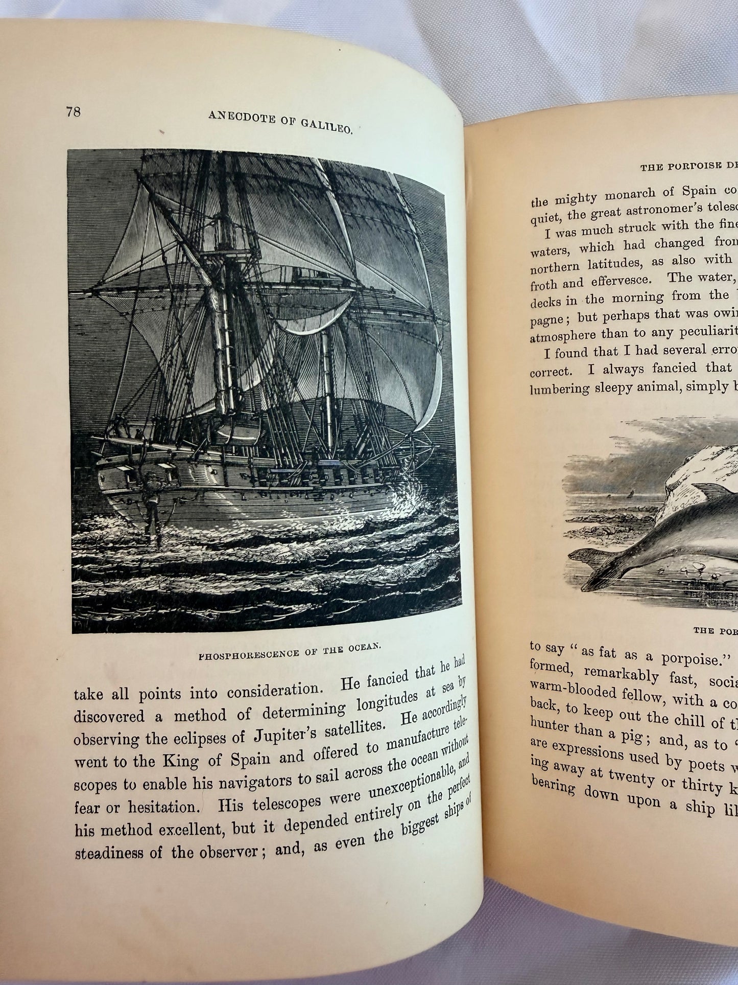 Voyage to the Southern Seas by Kingston, 1888