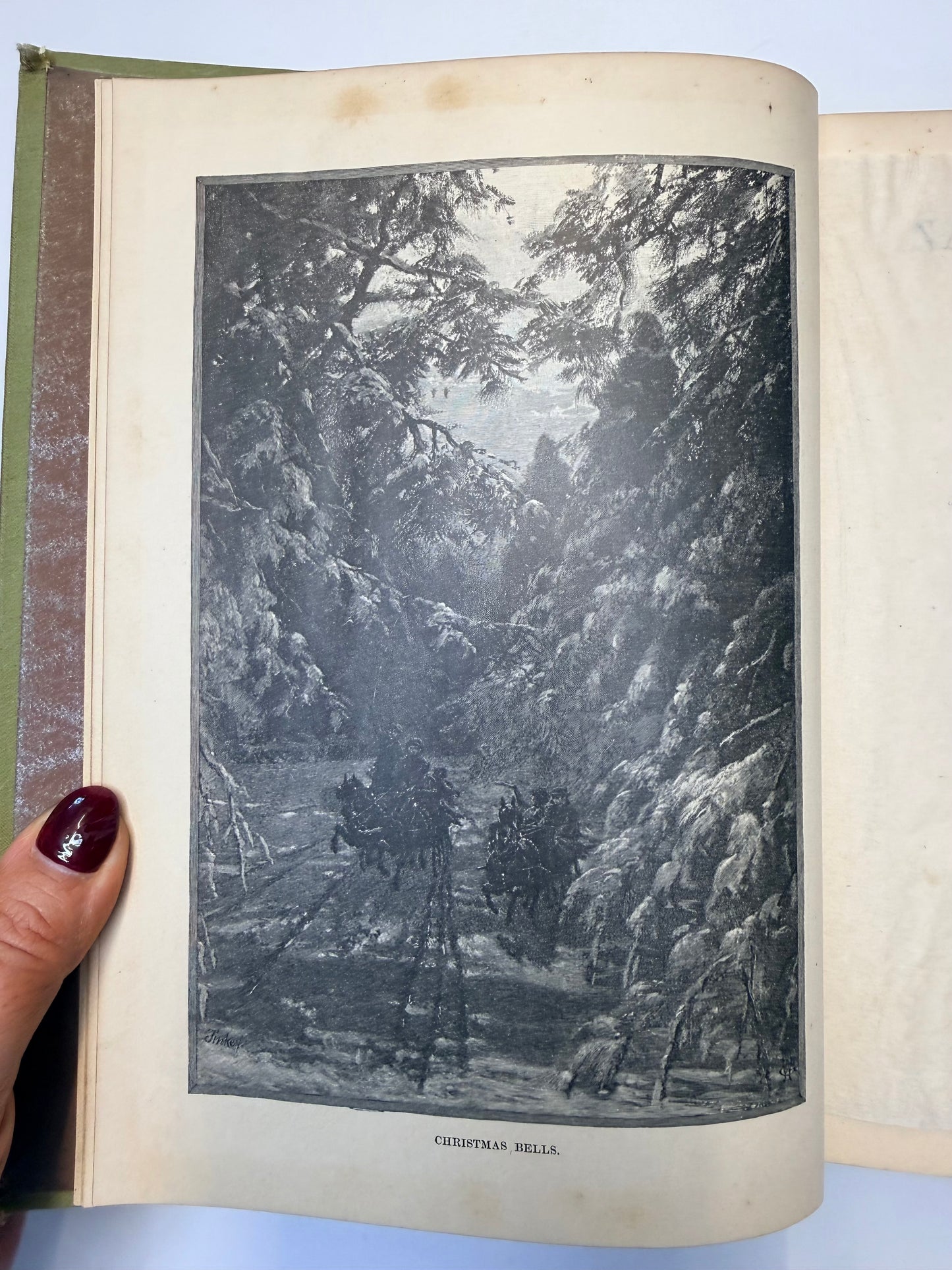 Nature’s Serial Story, 1885