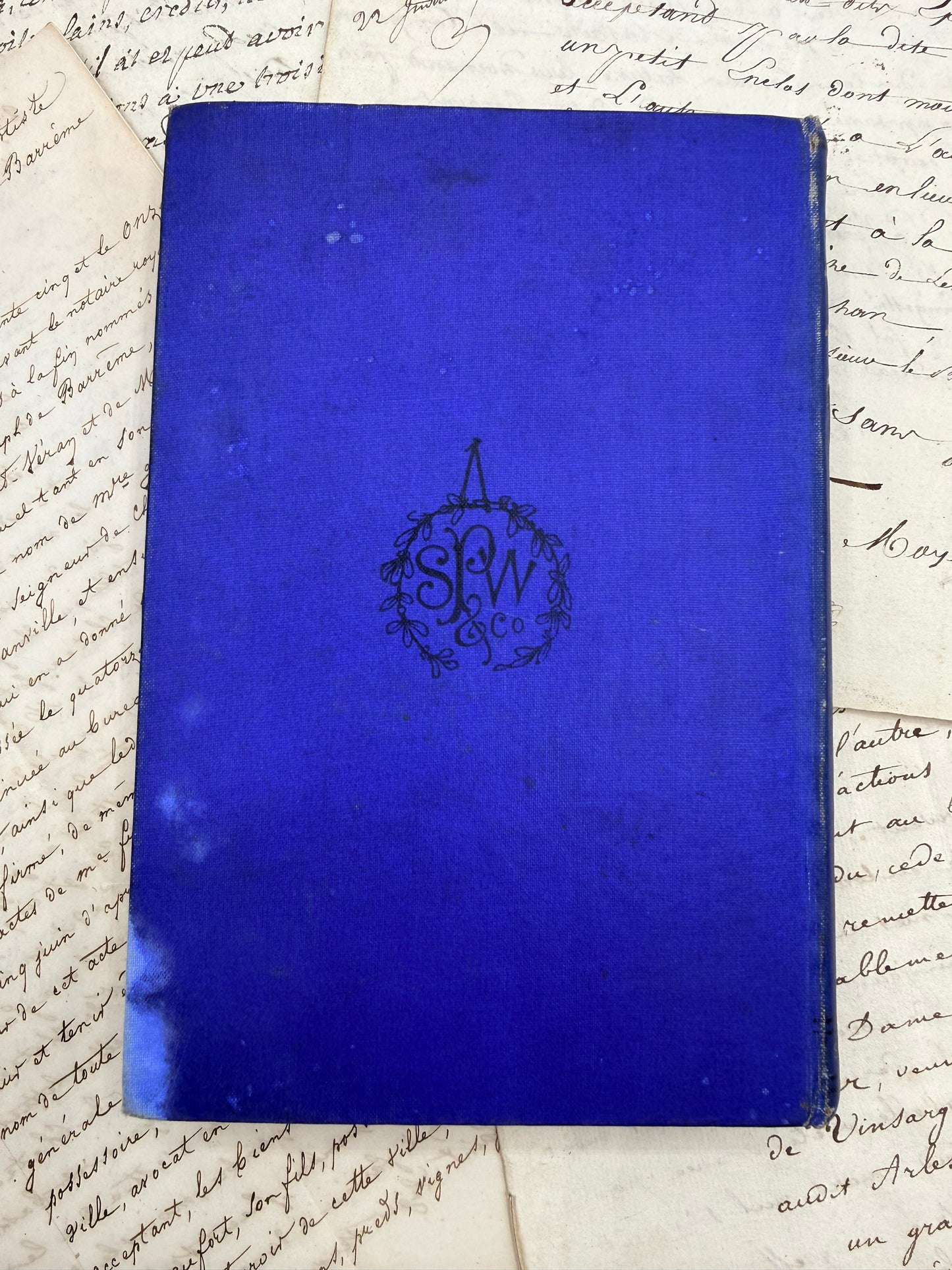 Dorothy’s Training, or Wild Flower or Weed, 1900