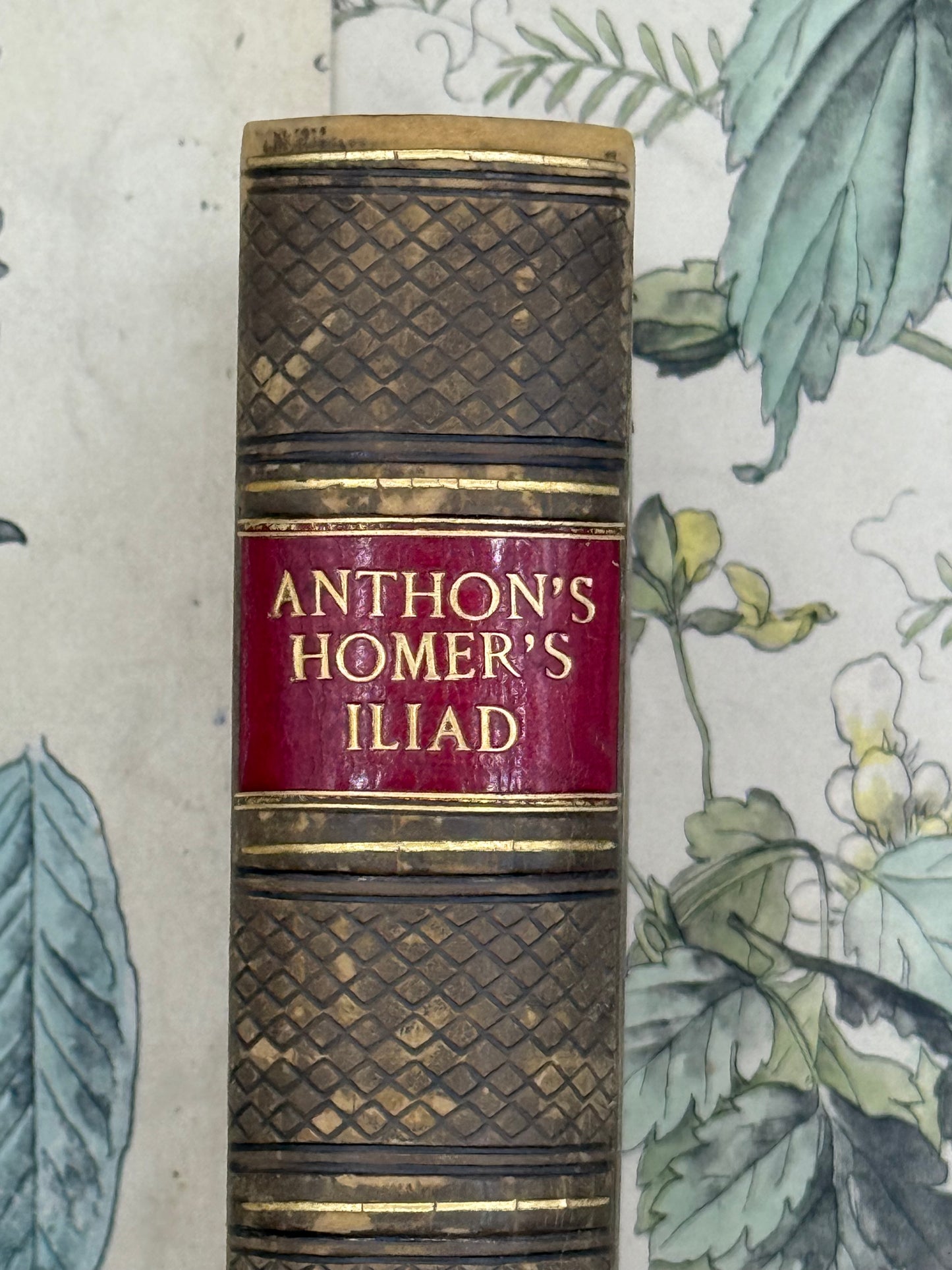 Homer’s Iliad, First Three Books, 1852