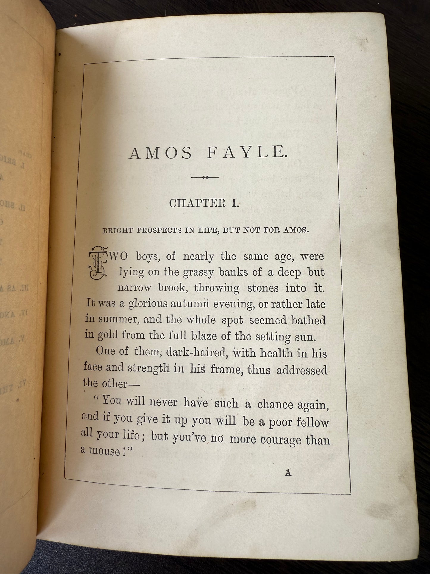 Amos Fayle by Mrs Prosser, 1878