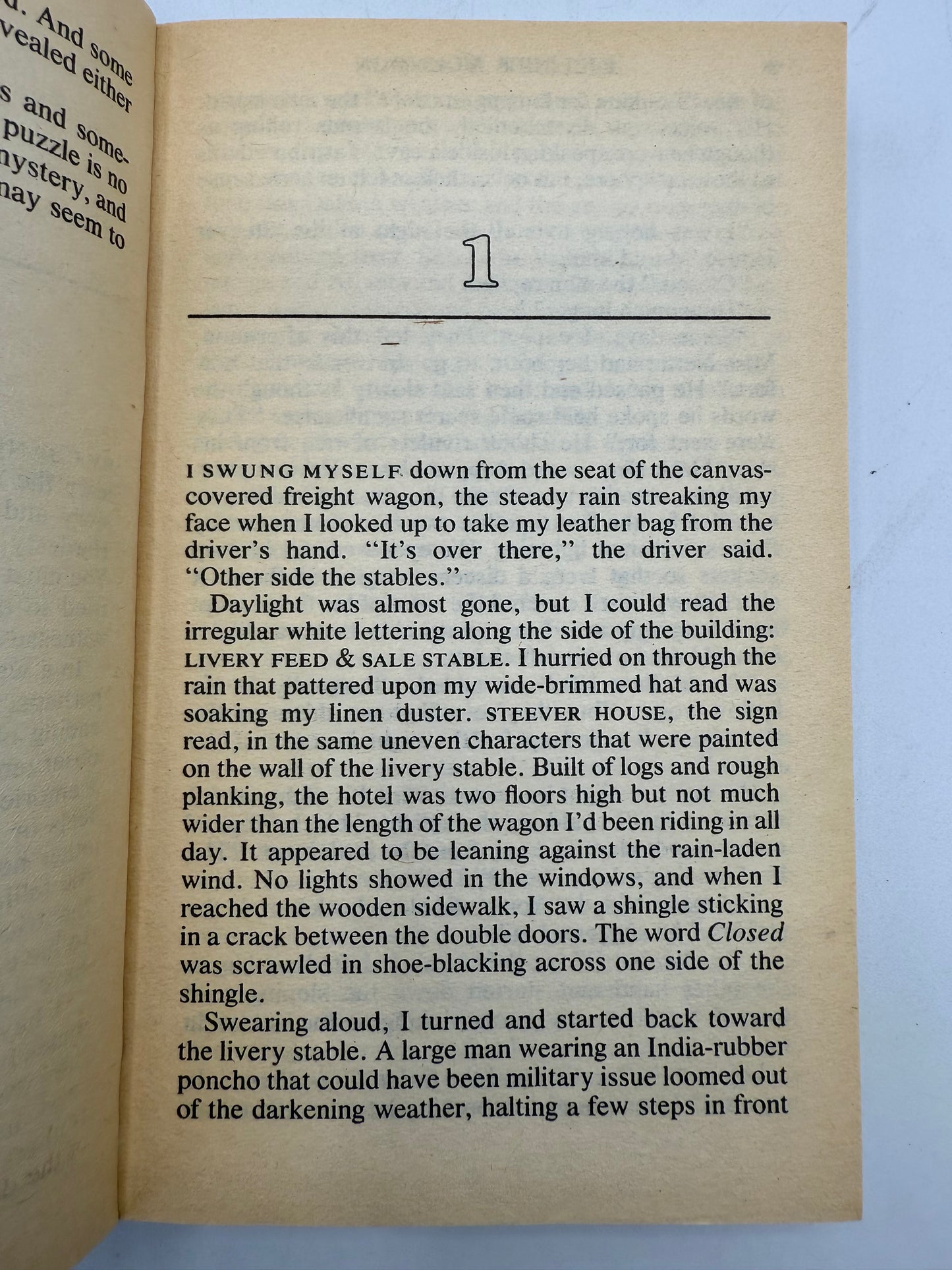 Killdeer Mountain by Dee Brown, 1984