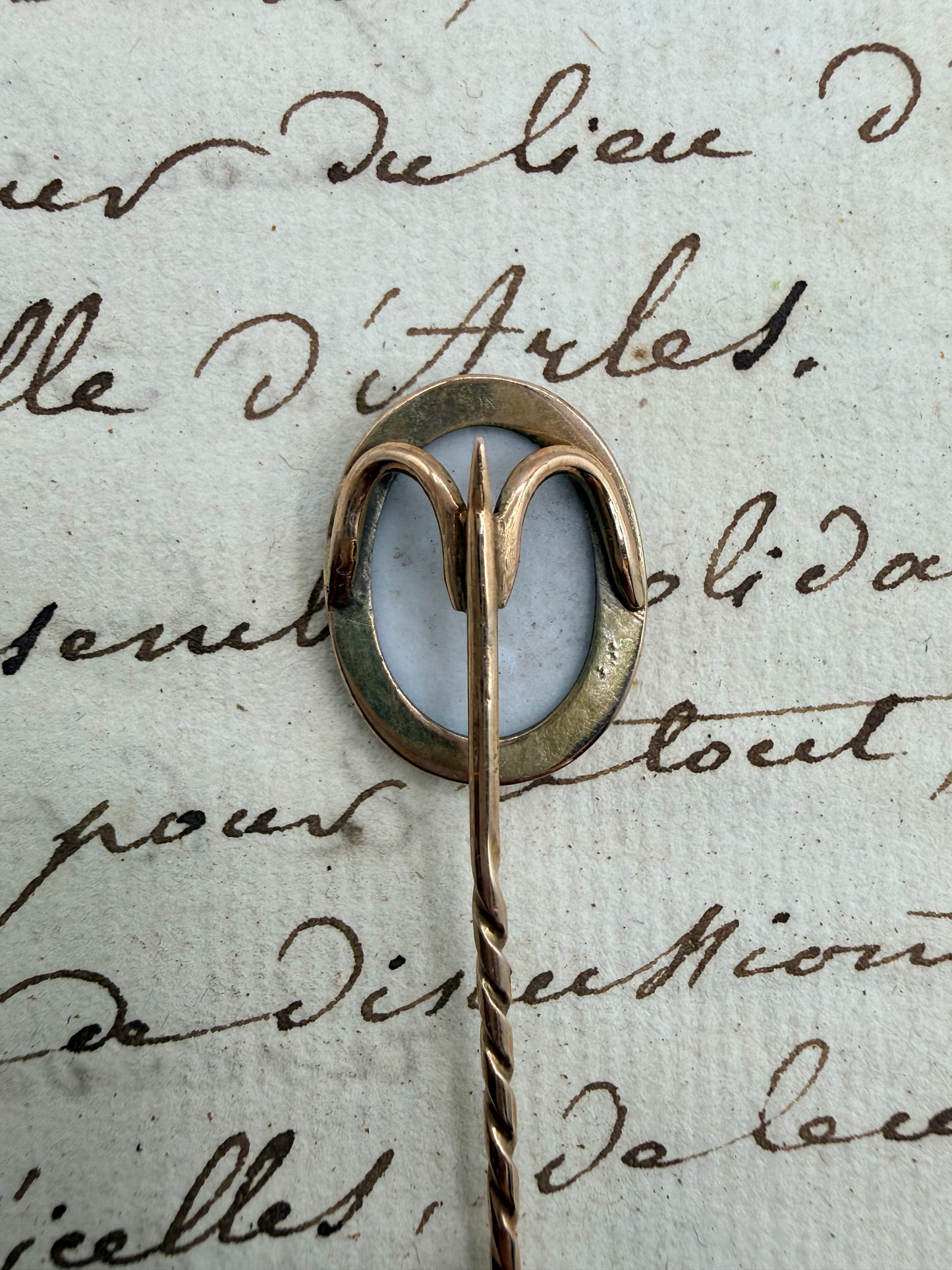 Victorian Hand Painted Pin, 2"