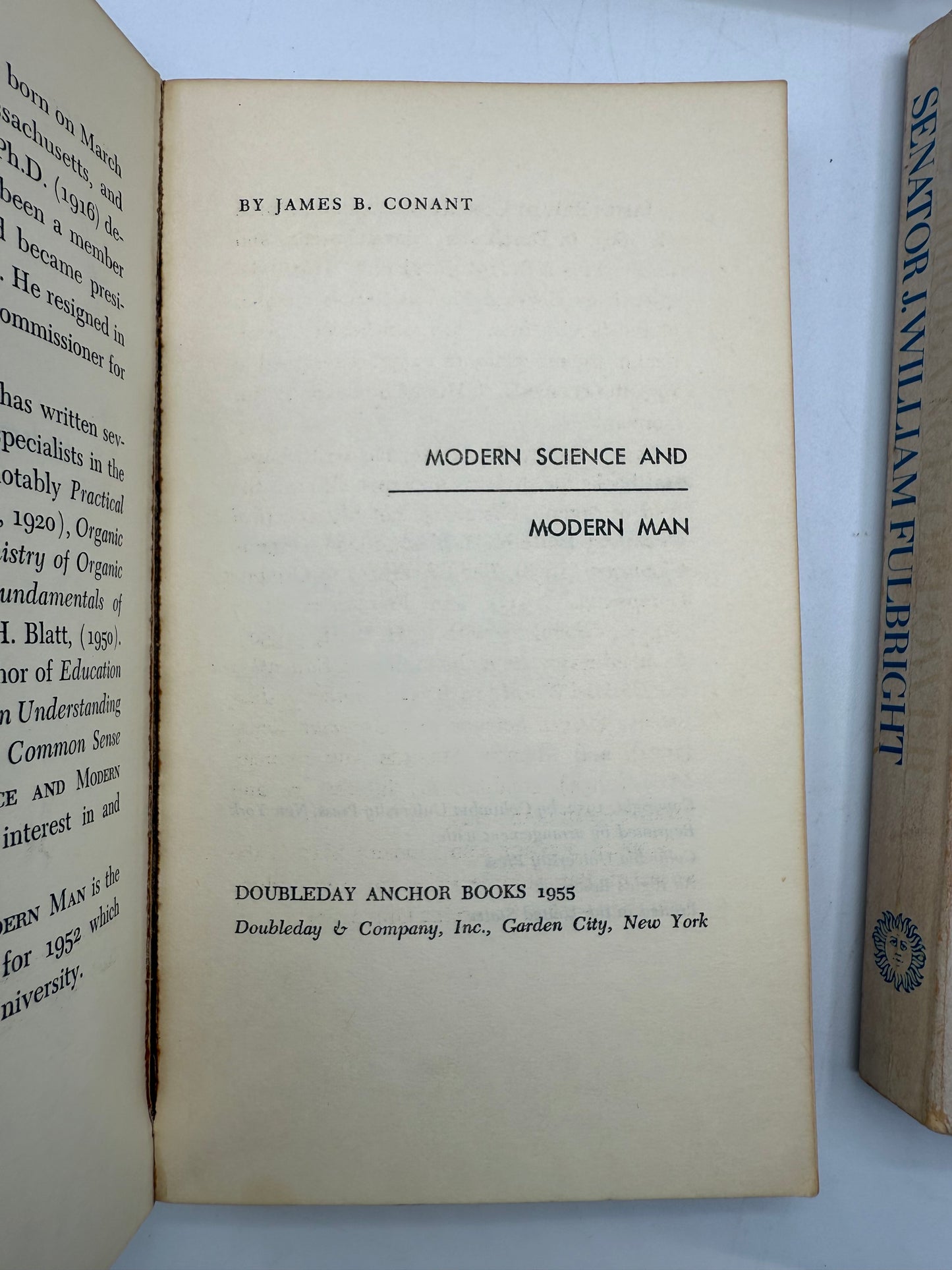 Vintage Paperback Bookshelf Display Lot, Woolf, Wharton