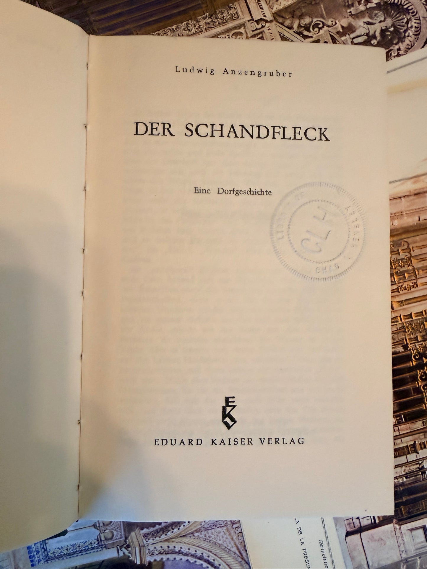 Vintage German Book, Der Schandfleck