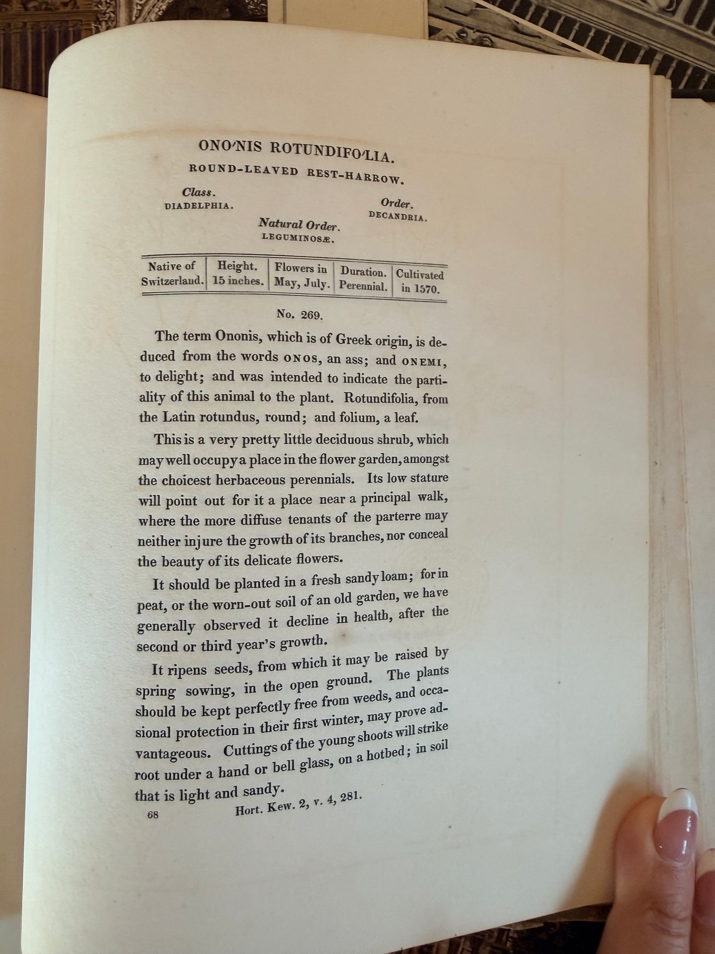 Maund’s Botanic Garden, Vol 3, 1830