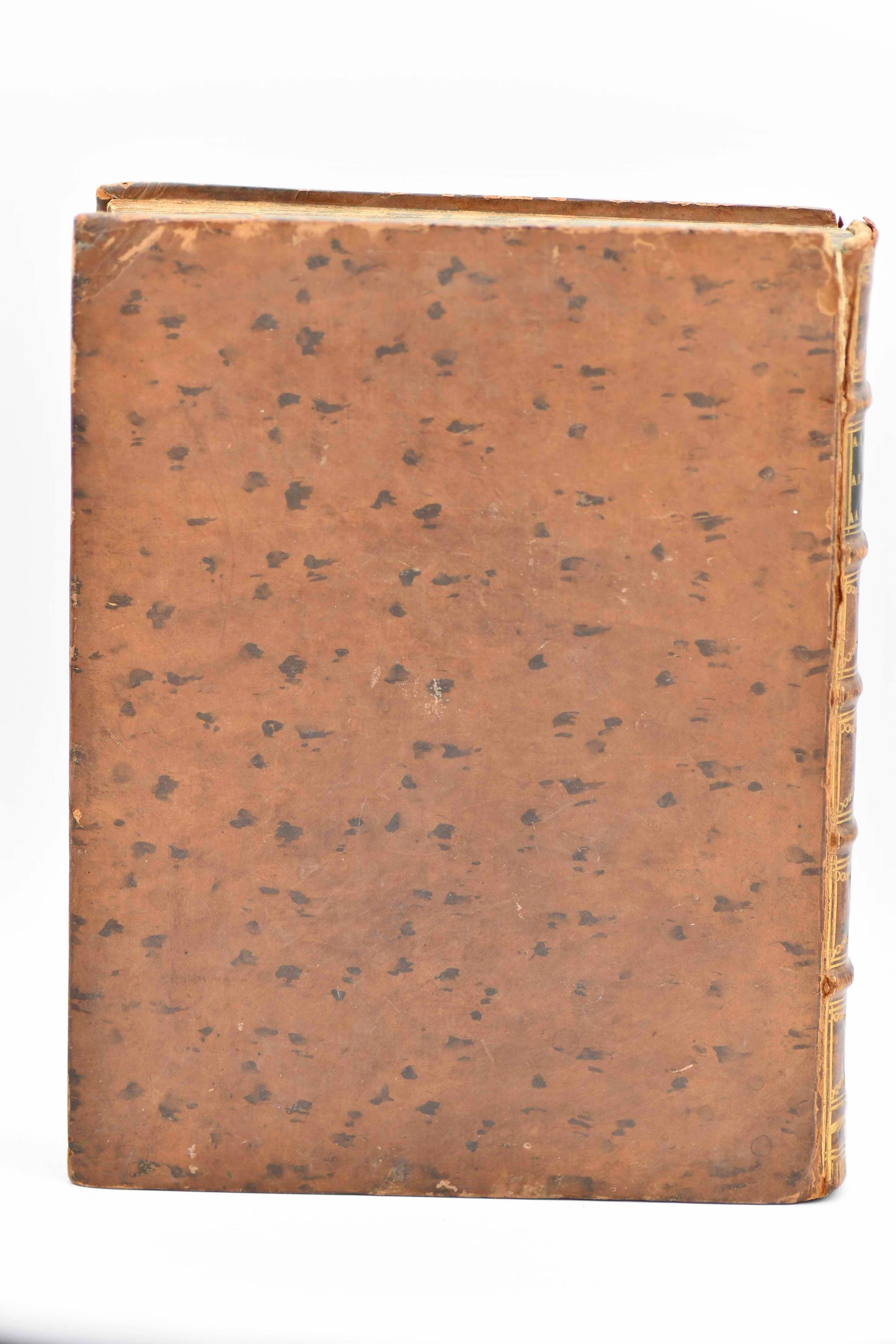 Abraham the Patriarch in XII, Dutch Language