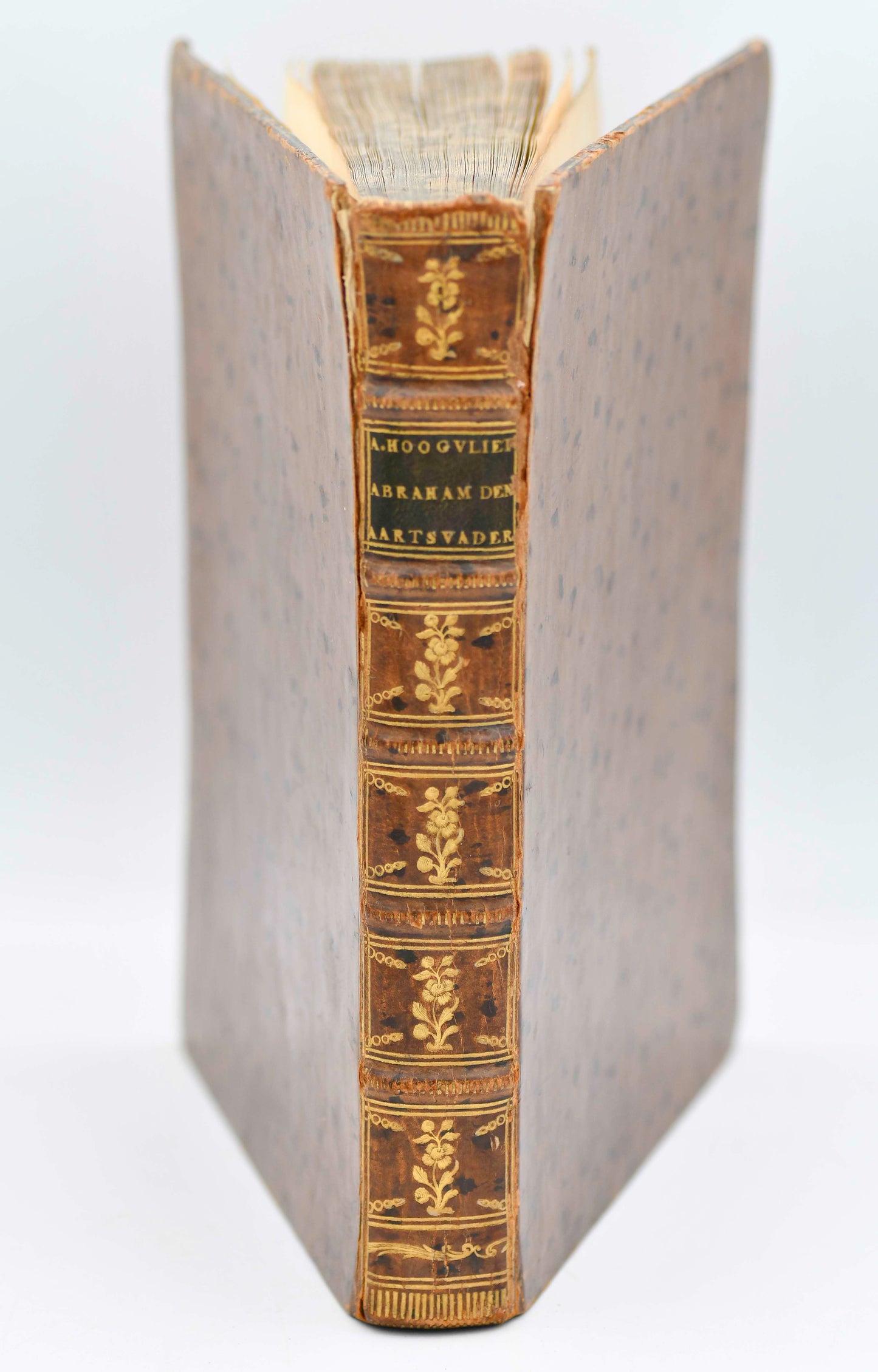 Abraham the Patriarch in XII, Dutch Language