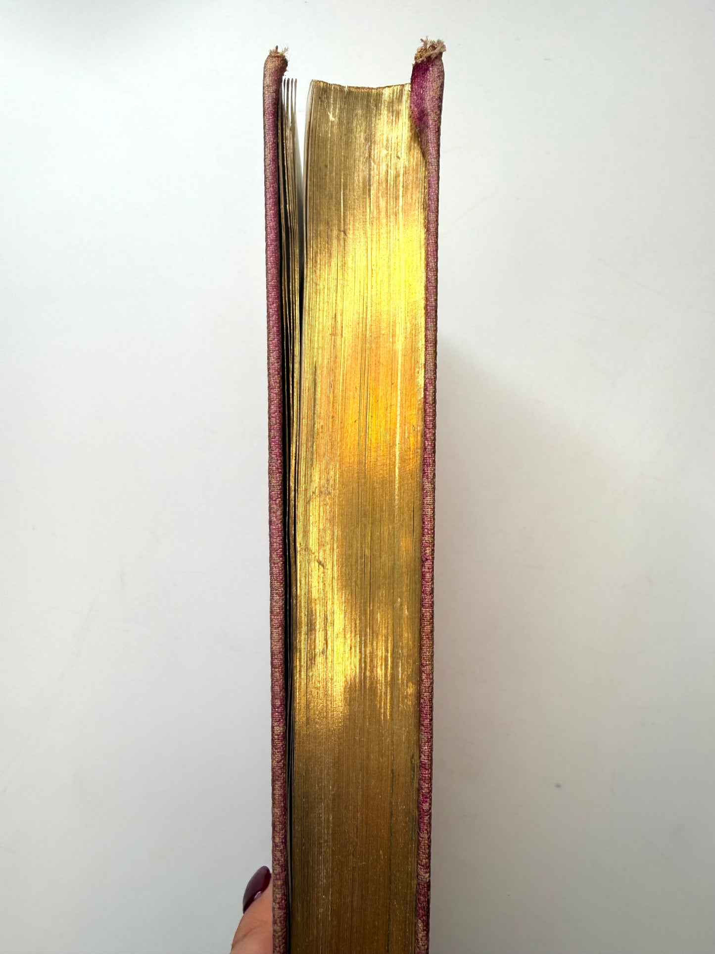 Thoughts of Bacon, Kepler, Newton and Euler, 1870, French Cartonnage Book