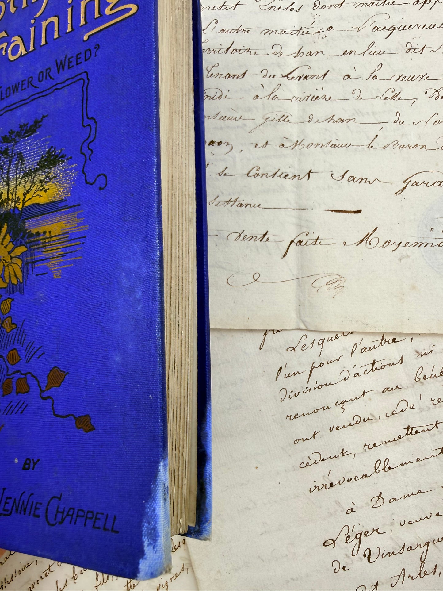 Dorothy’s Training, or Wild Flower or Weed, 1900