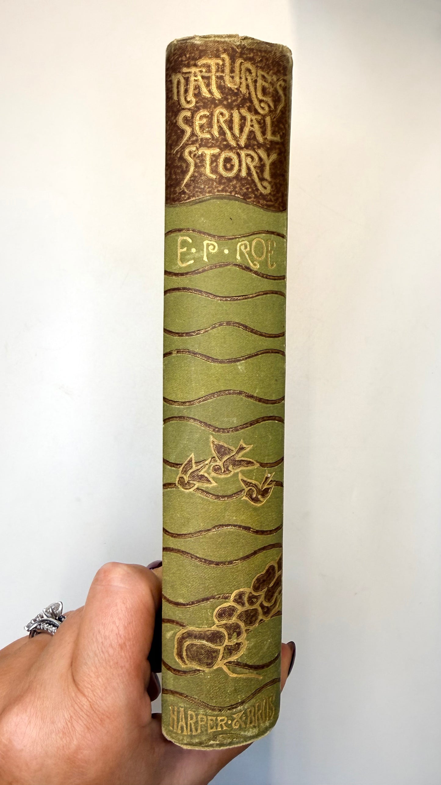 Nature’s Serial Story, 1885