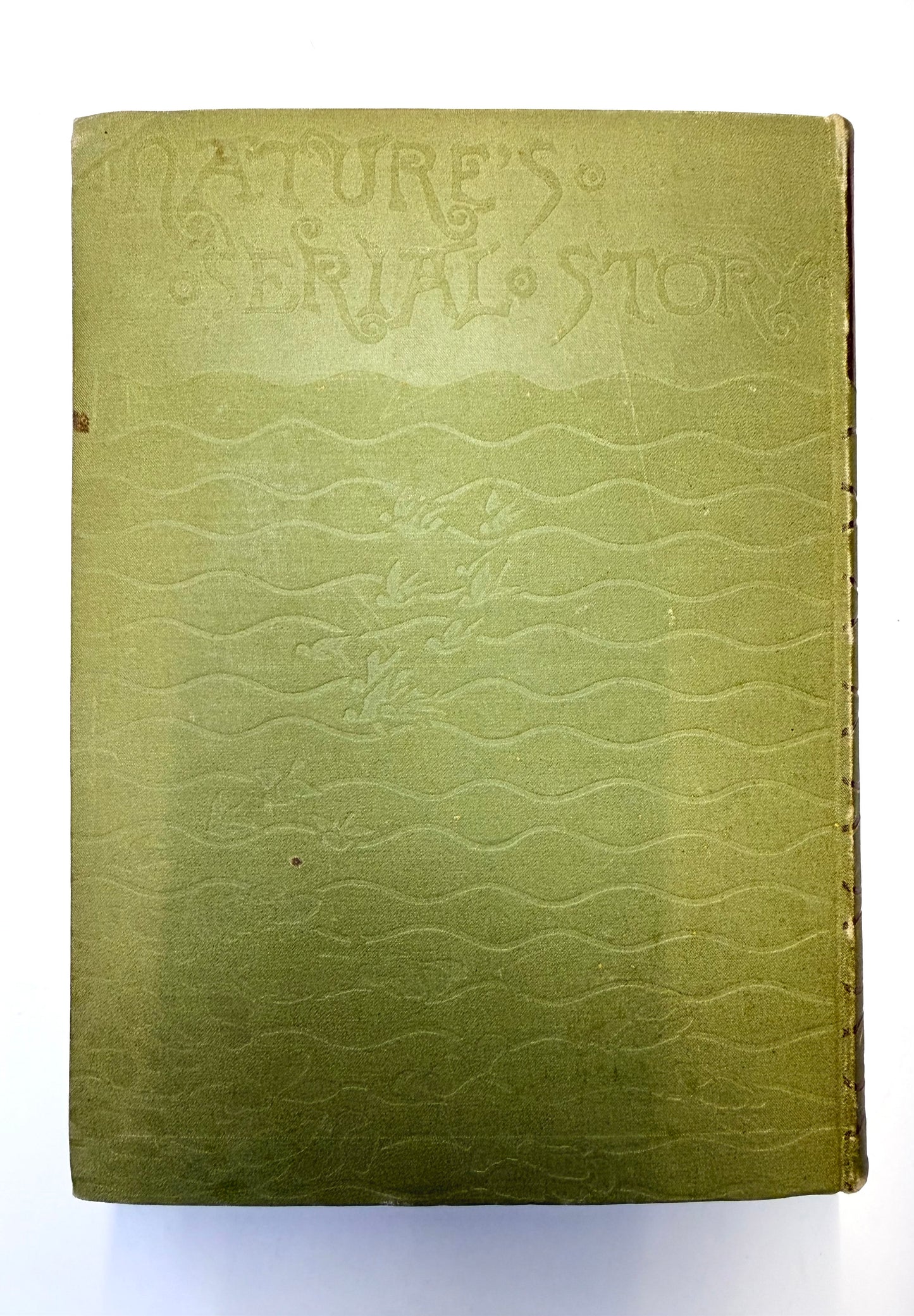 Nature’s Serial Story, 1885