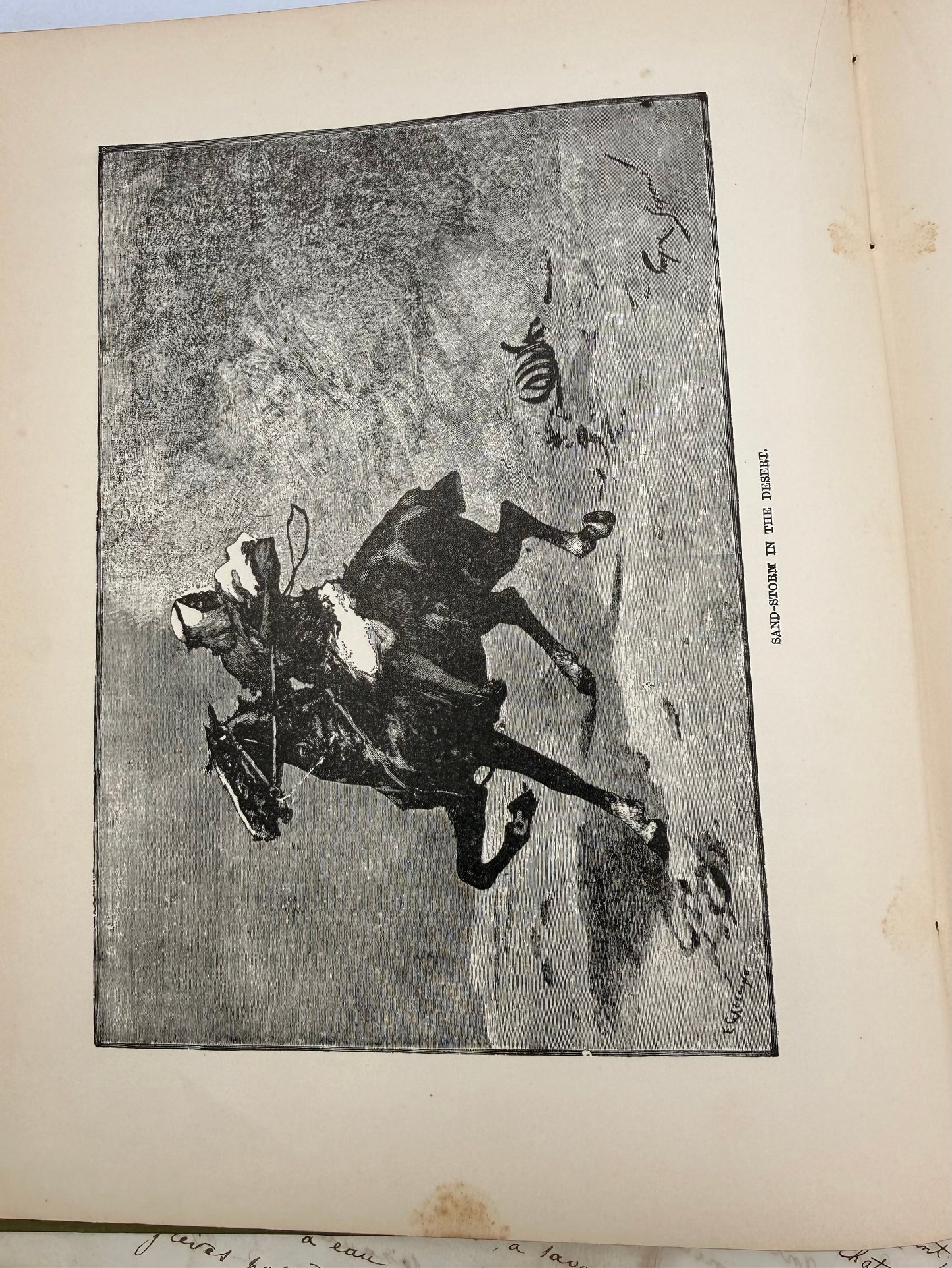 Egypt Illustrated by Samuel Manning, 1891