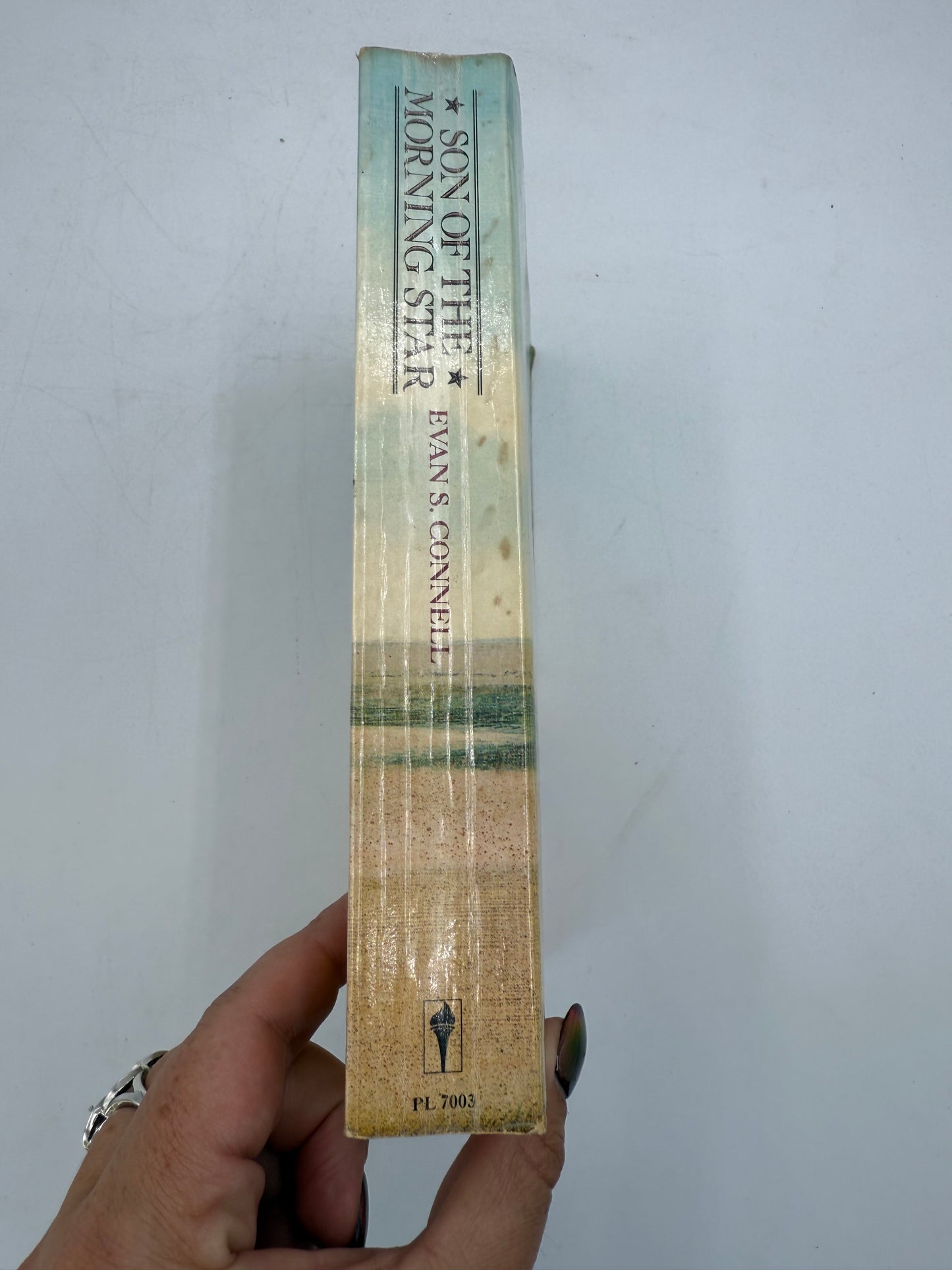 Son of the Morning Star by Evan S Connell, 1985