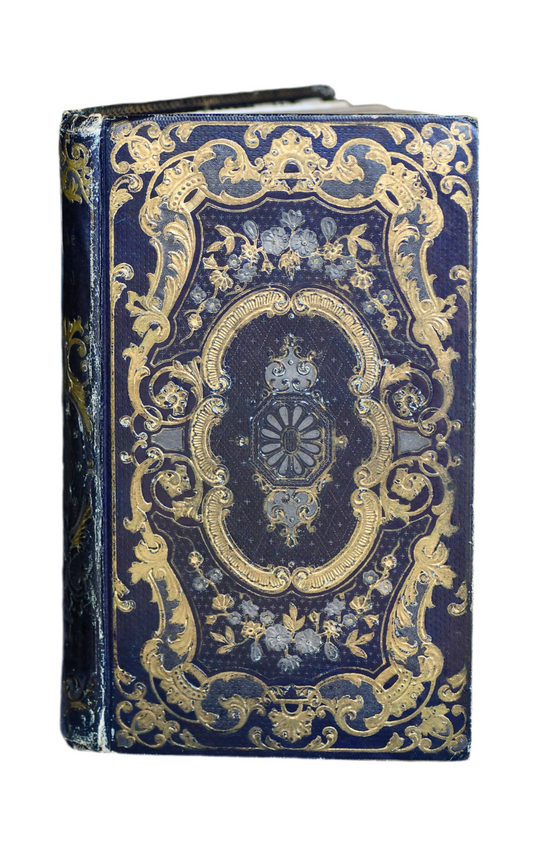 The Psyche of Young People, French Cartonnage Book