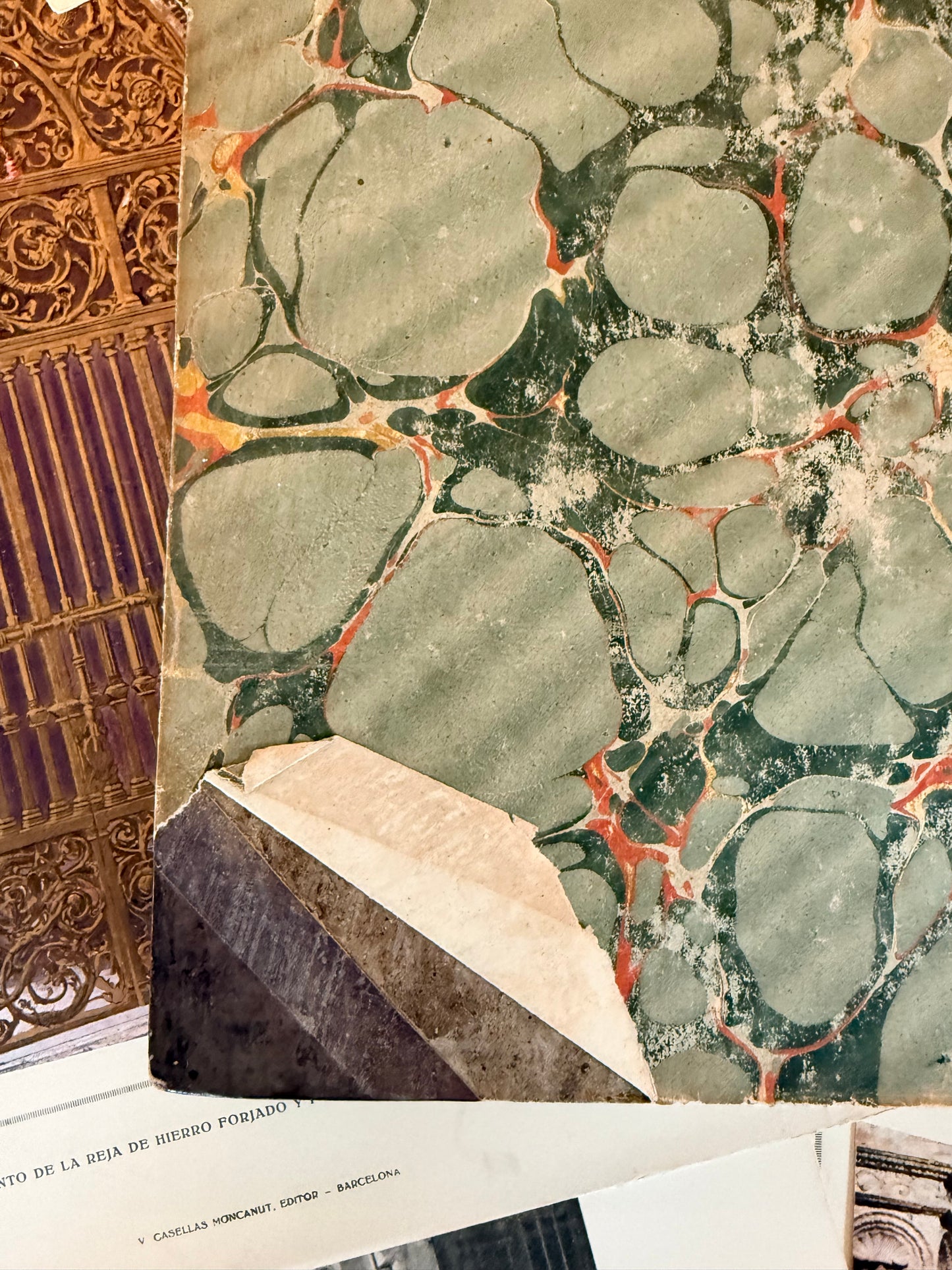 Maund’s Botanic Garden, Vol 3, 1830