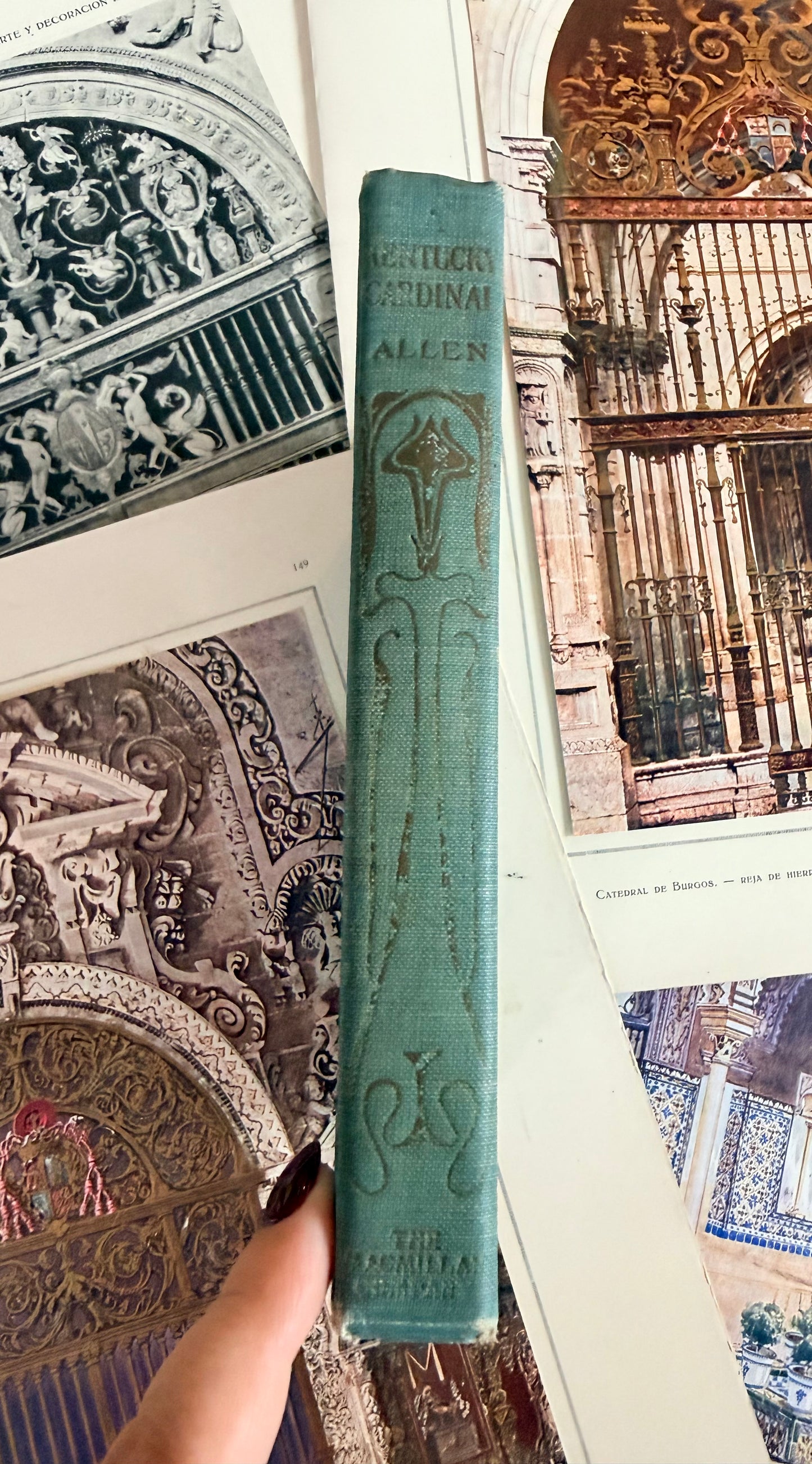 Kentucky Cardinal by James Lane Allen