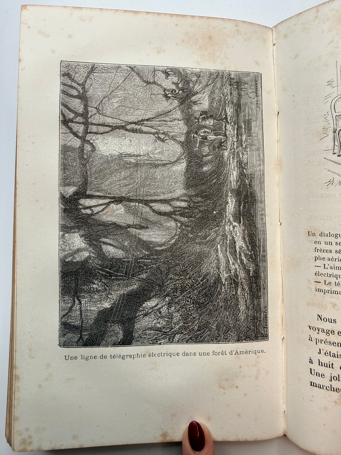 Discussions on Nature & Industry, French