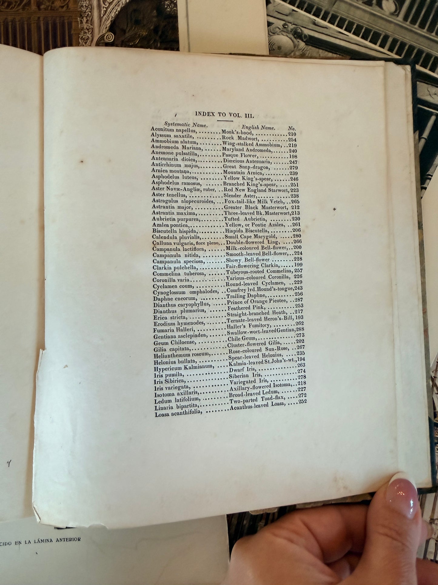 Maund’s Botanic Garden, Vol 3, 1830