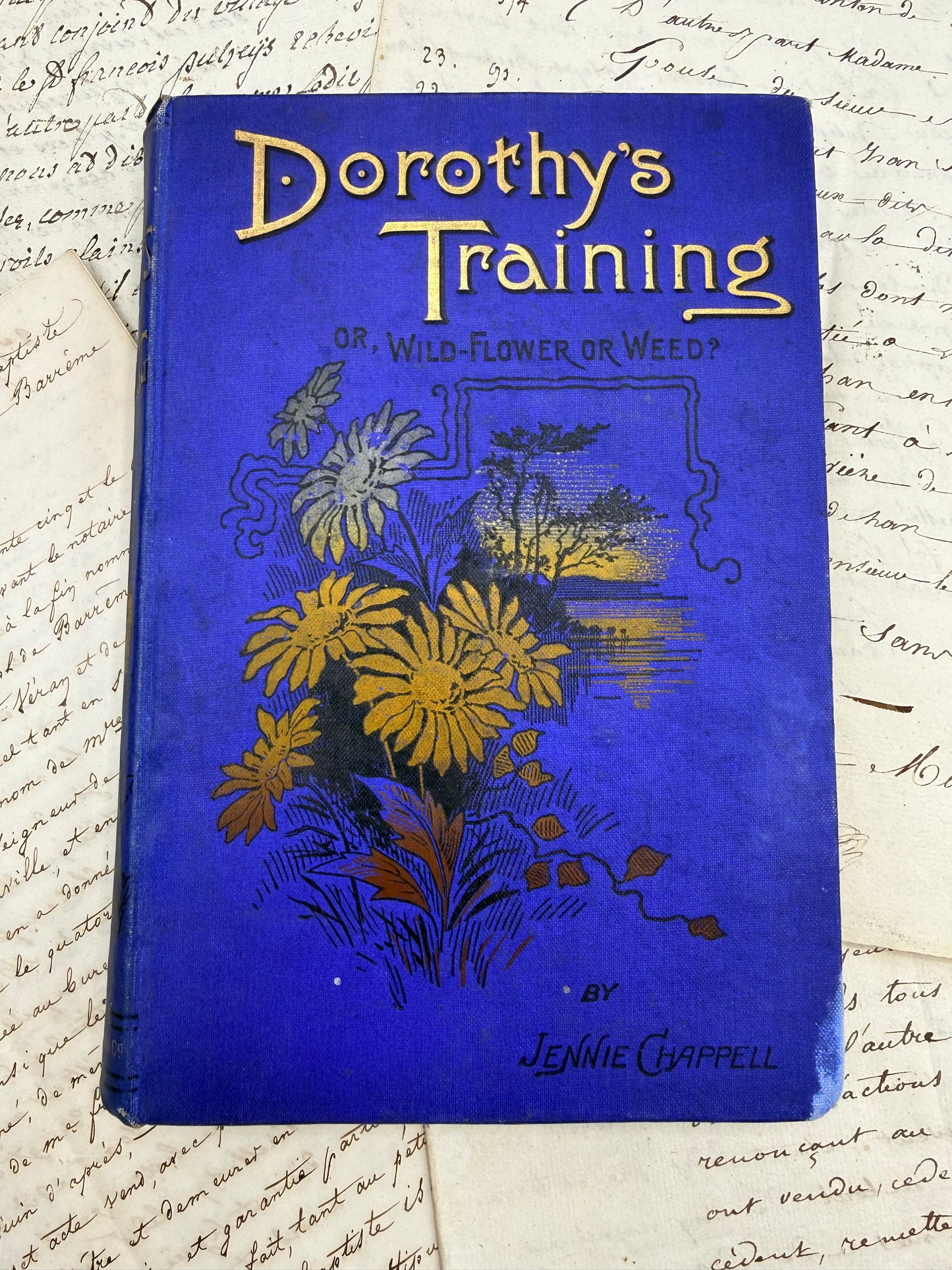 Dorothy’s Training, or Wild Flower or Weed, 1900