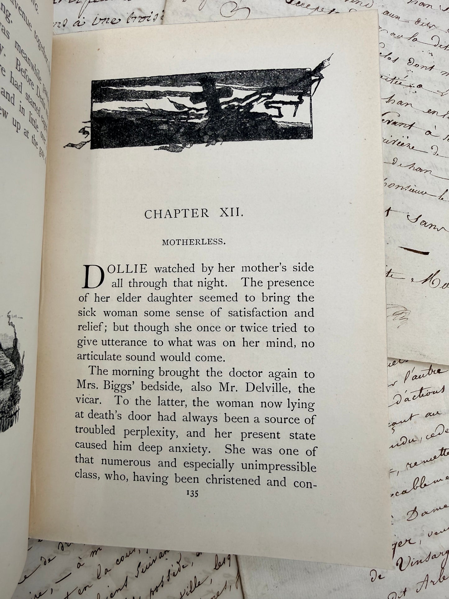 Dorothy’s Training, or Wild Flower or Weed, 1900