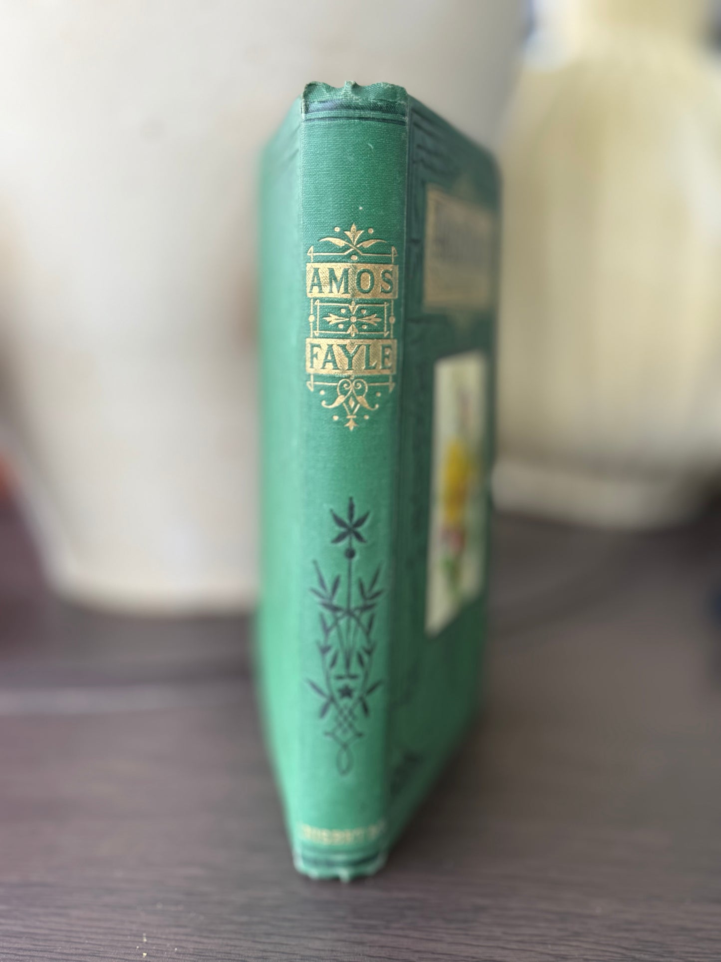 Amos Fayle by Mrs Prosser, 1878