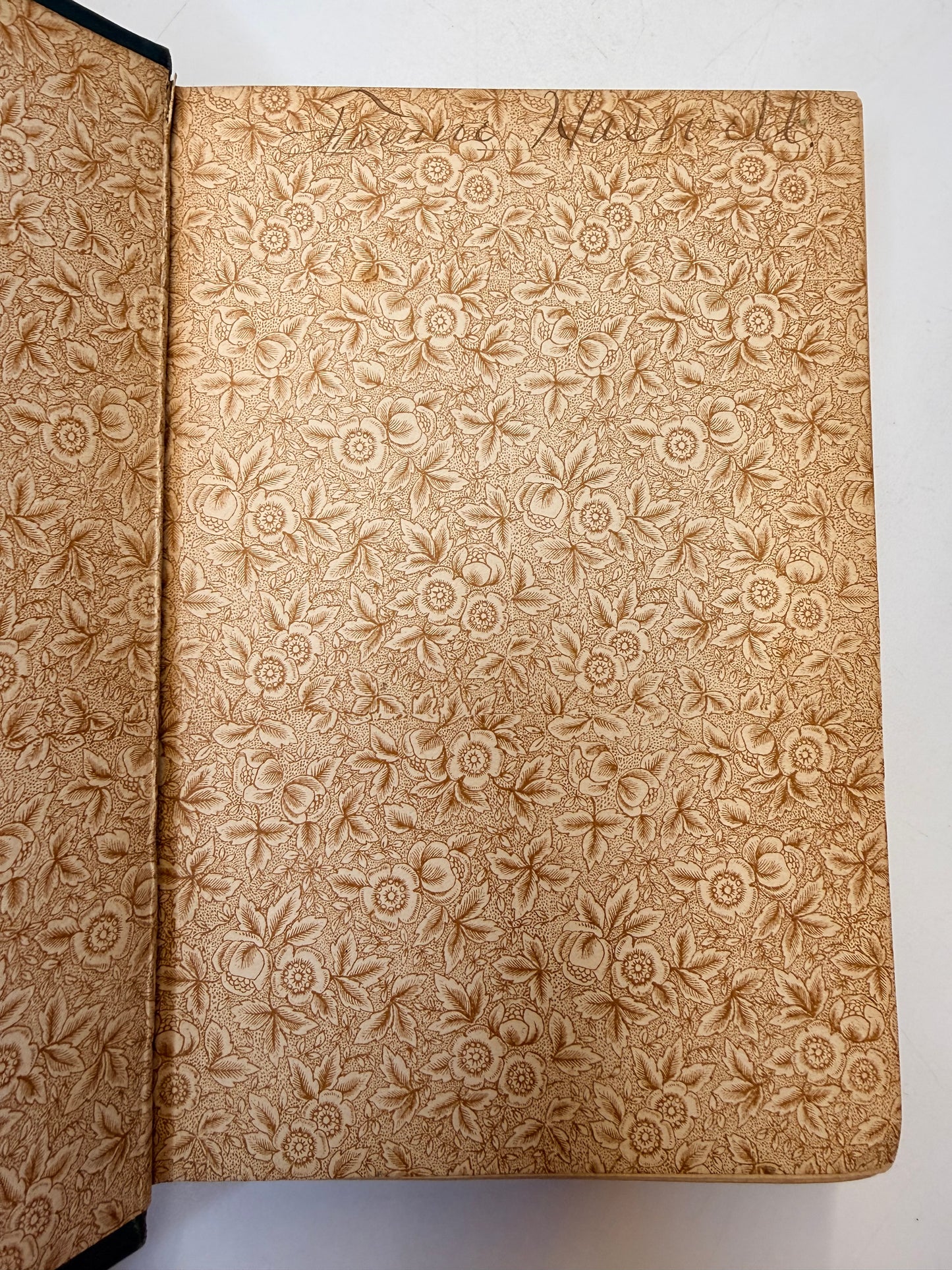 Caxton Edition, Half Hours with Great Novelists