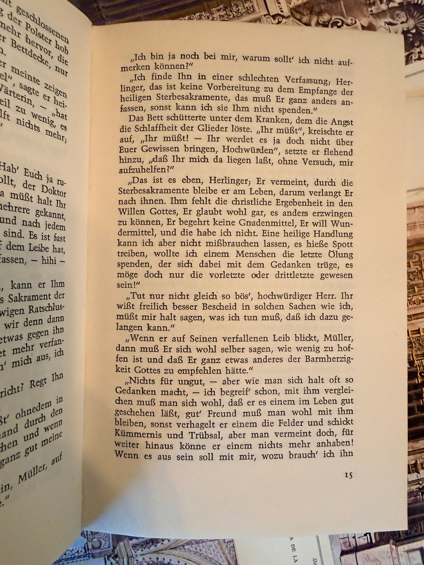 Vintage German Book, Der Schandfleck