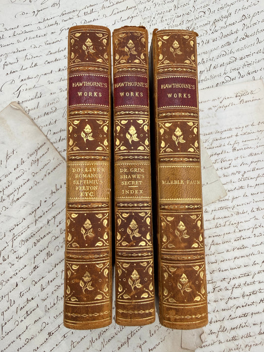 Nathaniel Hawthorne’s Works, 1902