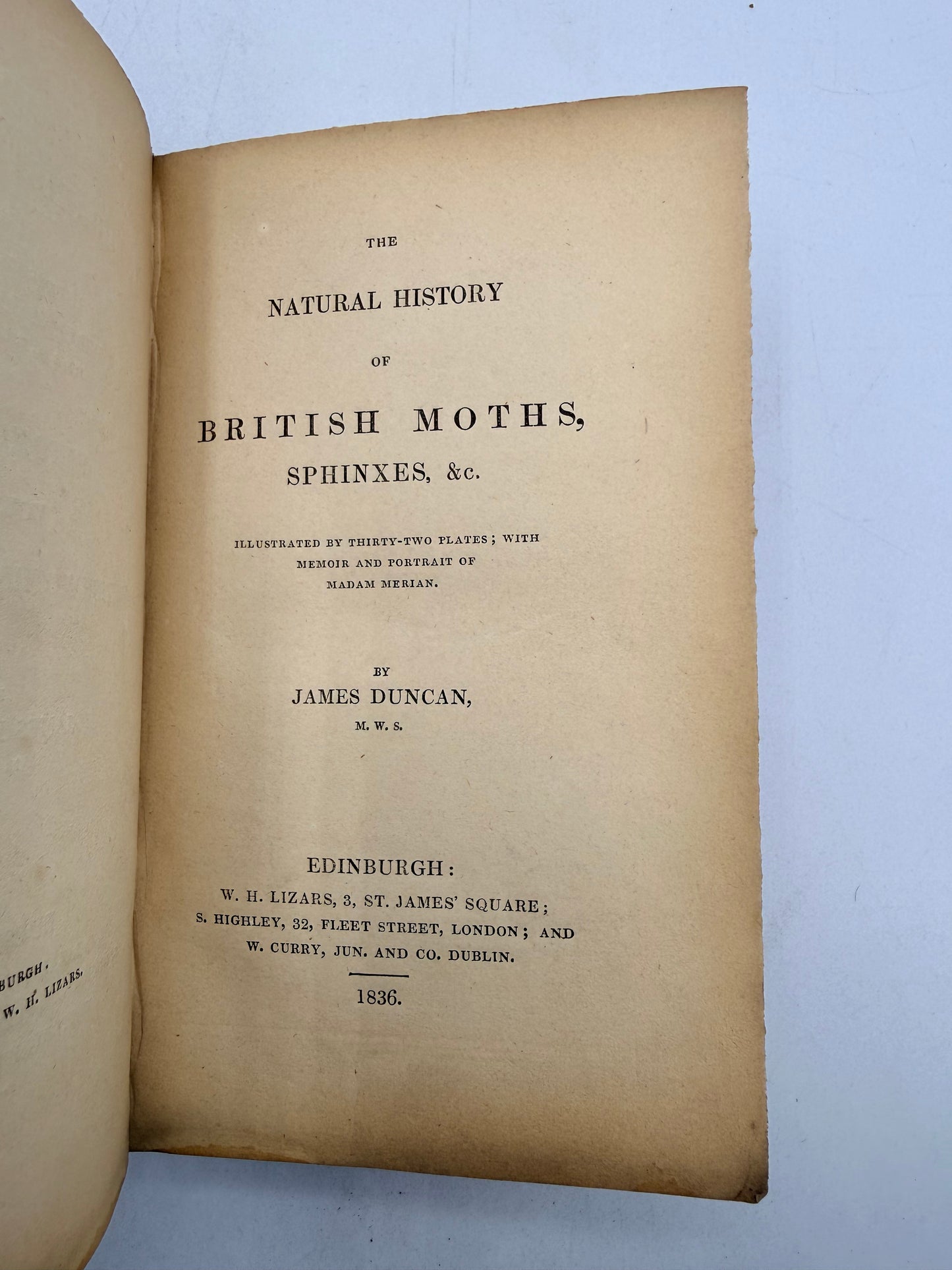 British Moths, Sphinxes, The Naturalist’s Library, 1836