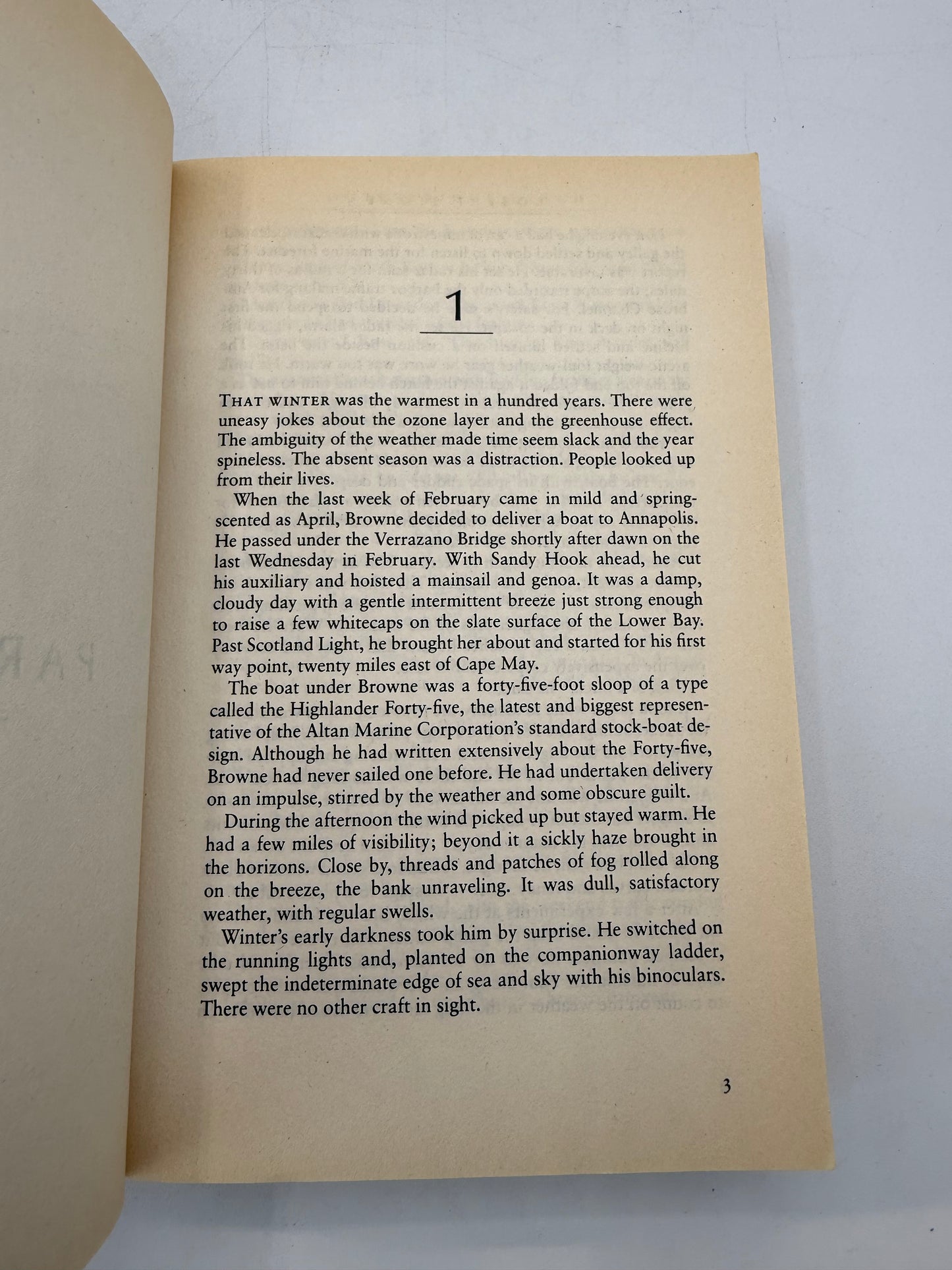 Outerbridge Reach by Robert Stone, 1993