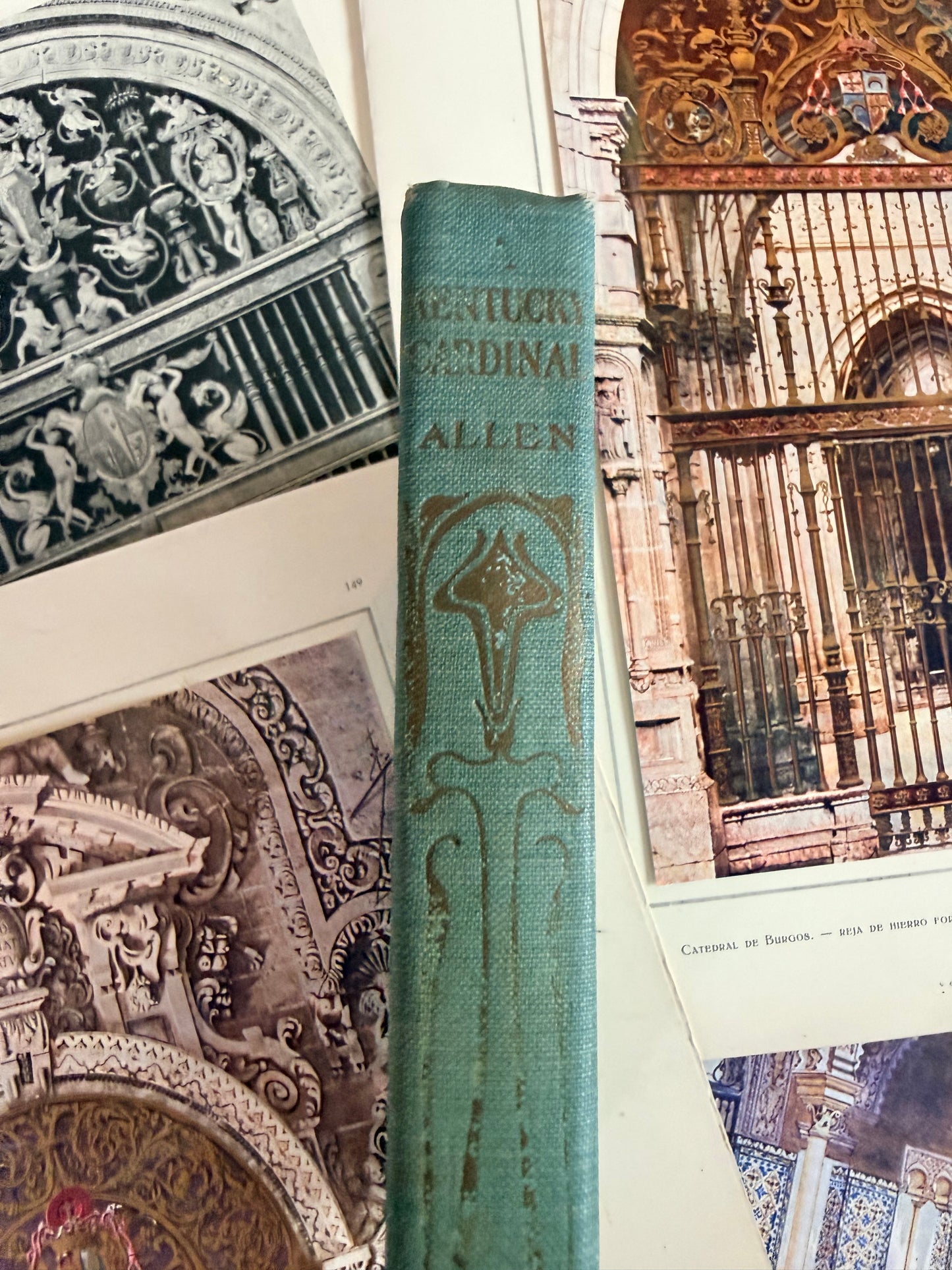 Kentucky Cardinal by James Lane Allen