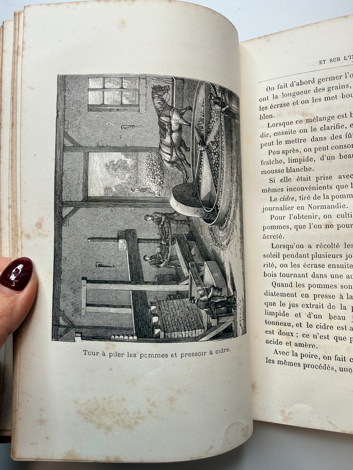 Discussions on Nature & Industry, French