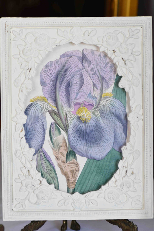 Framed iris print of antique art 