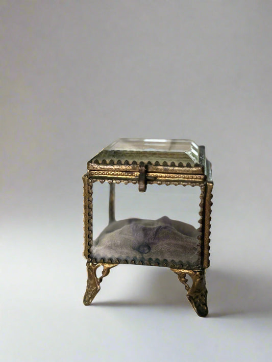 French 19th Century Jewelry Box with Tuft