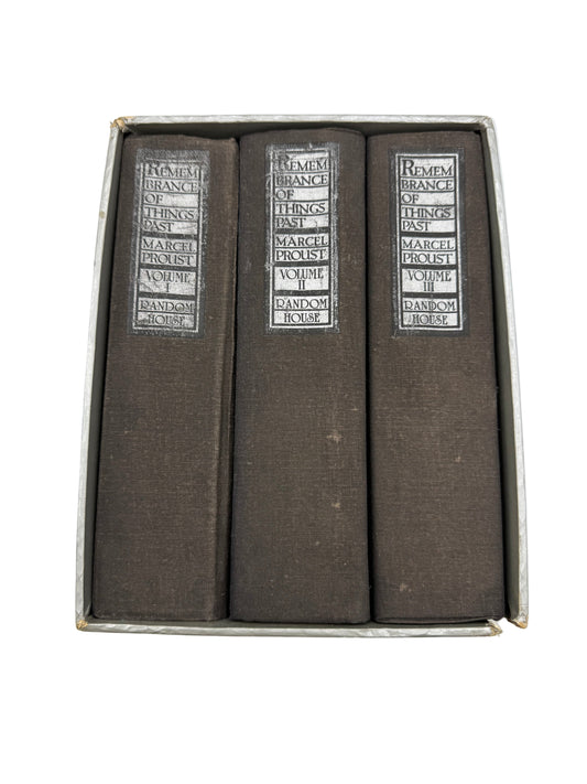 Set of three vintage books with leather bindings on a white background. Rememberance of things past