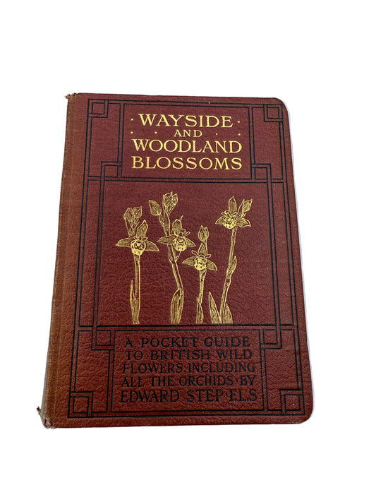 Vintage book titled 'Wayside and Woodland Blossoms' on a white background