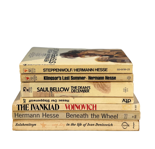 Vintage Paperback Bookshelf Display Lot, Hermann Hesse, Solzhenitsyn