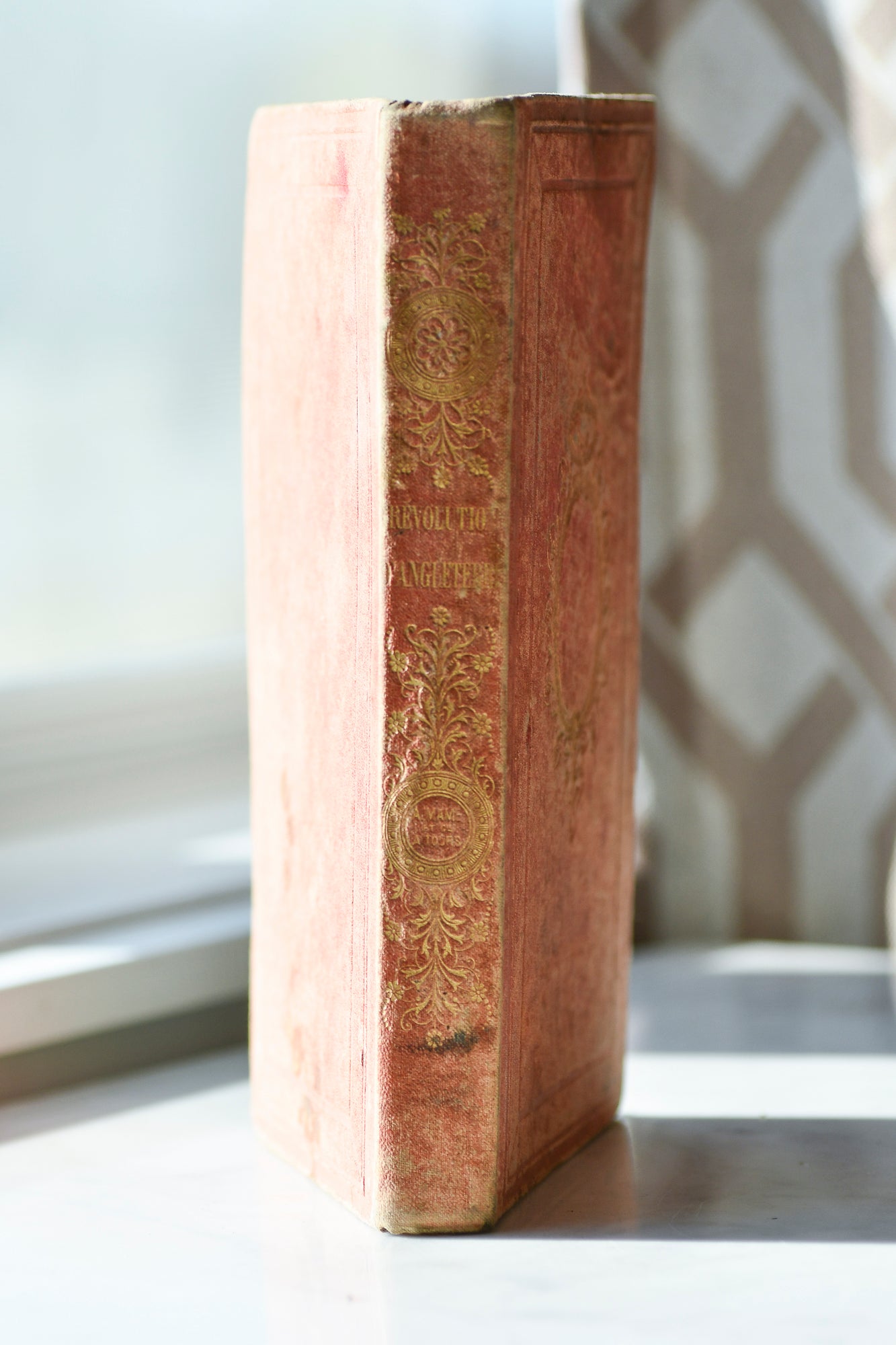 Revolution of 1688 in England, French Cartonnage Book